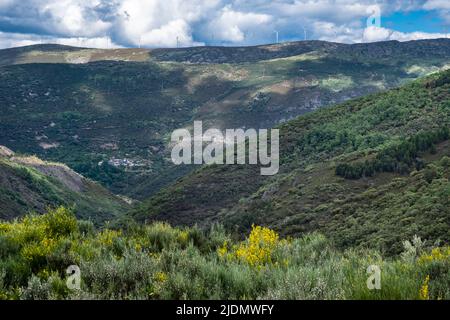 Spanien, Castilla y Leon, Camino de Santiago. Windmühlen und Stromleitungen vom Weg bei Molinaseca aus gesehen. Stockfoto