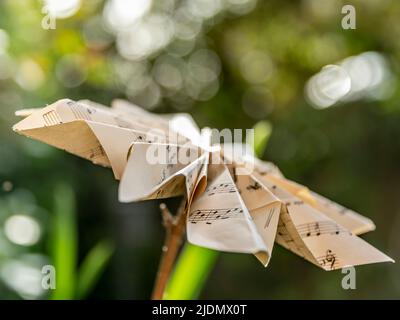 Ein Blatt Papier mit einer Partitur wurde fachmännisch geformt, um wie eine Blume aus einer Gartenpflanze auszusehen Stockfoto