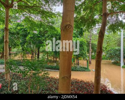 QINGYUAN, CHINA - 22. JUNI 2022 - der Beijiang-Park wird teilweise von Überschwemmungen in der Stadt Qingyuan, Provinz Guangdong, China, überflutet, 22. Juni 2022. Der Hydrolo Stockfoto