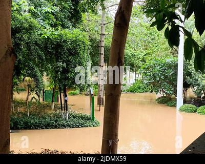 QINGYUAN, CHINA - 22. JUNI 2022 - der Beijiang-Park wird teilweise von Überschwemmungen in der Stadt Qingyuan, Provinz Guangdong, China, überflutet, 22. Juni 2022. Der Hydrolo Stockfoto