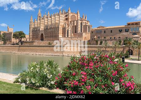 Kathedrale von Palma auf Mallorca Stockfoto