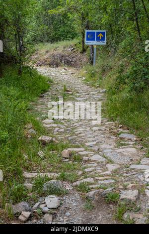 Spanien, Kastilien und Leon. Camino de Santiago, auf dem Weg nach Molinaseca. Stockfoto