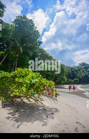 Strand im Manuel Antonio Nationalpark, Costa Rica Stockfoto