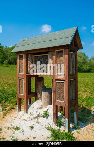 Insektenhotel in einer grünen Hecke bietet Schutz. Holzinsektenhaus Unterstand für wilde Insekten im Waldreservat Stockfoto