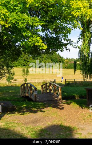 Holzbrücke über den Fluss Misbourne in Chalfont St Giles, Buckinghamshire, England Stockfoto