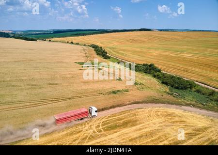 Luftaufnahme eines LKW-Lastwagens auf unbefestigten Straßen zwischen landwirtschaftlichen Weizenfeldern. Transport des Getreides nach der Ernte durch den Mähdrescher Stockfoto