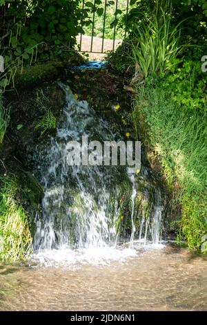 Wasser, das durch das Grün in einen klaren Wasserpool stürzt Stockfoto
