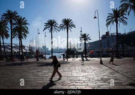 Genua, Italien - Juni, 2022: Silhouetten des Zoos Biosfera, Bau des Aquariums von Genua, Fährboot und Palmen gegen blauen Himmel auf dem Damm Stockfoto