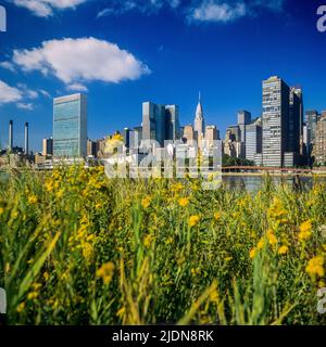 New York 1980s, Wiese, Gebäude des UN-Hauptquartiers, Skyline von Midtown Manhattan von Roosevelt Island, New York City, NYC, NY, USA, Stockfoto