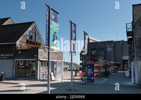 Blick auf Discovery Quay, Falmouth Stockfoto