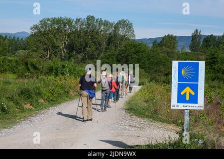 Spanien, Kastilien und Leon. Camino de Santiago Wanderer, die durch den Bezirk El Bierzo zwischen Camponaraya und Cacabelos wandern. Stockfoto