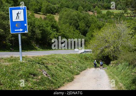 Spanien, Galicien. Wanderer auf dem Trail zwischen O Cebreiro und Triacastela. Stockfoto