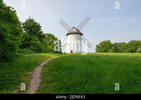 Krefeld-Traar - Blick auf Egelsberg im Frühling, Nordrhein-Westhalia, Deutschland, 07.05.2022 Stockfoto