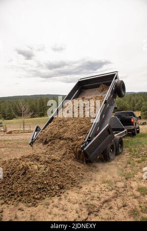 Ein Iron Bull Trailer wirft auf einer Ranch im Norden von New Mexico einen Pferdemist mit langem Haufen auf Dünger. Stockfoto