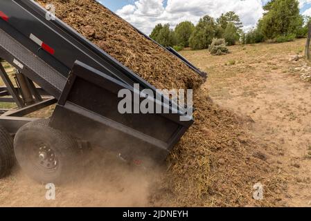 Ein Iron Bull Trailer wirft Pferdemist auf einer Ranch im Norden von New Mexico auf Dünger. Stockfoto