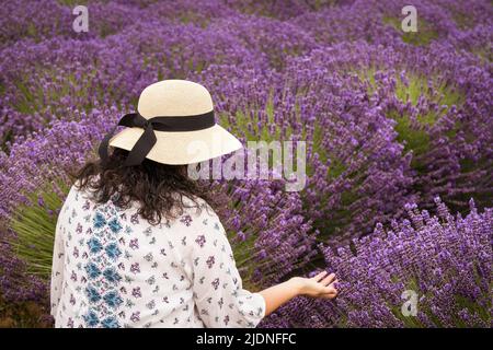 Frau mit dunklem lockigen Haar, die einen Sonnenhut in einem violetten Lavendelfeld trägt Stockfoto