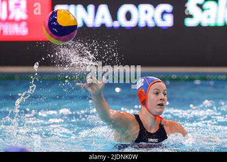 DEBRECEN, UNGARN - 22. JUNI: Nina ten Broek aus den Niederlanden während der FINA World Championships Budapest 2022 Spiel zwischen den Vereinigten Staaten von Amerika und den Niederlanden am 22. Juni 2022 in Debrecen, Ungarn (Foto: Albert ten Hove/Orange Picts) KNZB Stockfoto