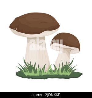 Vektor Bolete Pilz isoliert auf Weiß. Handgezeichnete Cartoon Bolete, Steinpilze. Designvorlage, Clipart. Leccinum Scabrum, Penny Bun Stock Vektor