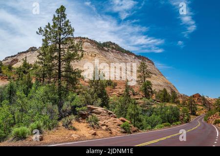 Blick auf den Zion Mt. Carmel Highway im Zion Nationalpark Stockfoto