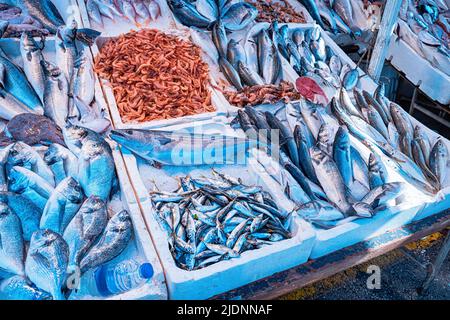 Auf dem Eis liegen verschiedene Fischarten und -Sorten, die auf dem lokalen Markt verkauft werden. Fischerei und Seenahrungsmittelhandel Stockfoto