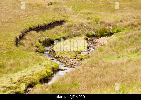 Birkdale Swaledale Yorkshire Dales England Großbritannien Stockfoto