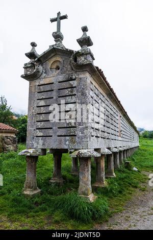 Spanien, Carnota, Galicien. Größter Horreo (Lager für Getreide oder Gemüse) der Welt, ein traditioneller galizischer Kornspeicher, auf Betonstelzen. Stockfoto