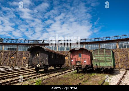 Alte Güterwagen stehen vor dem historischen Lokschuppen. Die Aufnahme wurde bei natürlichem Licht aufgenommen Stockfoto