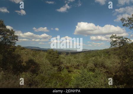 Die spanische Waldlandschaft badete im Sonnenlicht Stockfoto