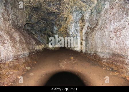 Lavaröhren auf der Insel Maui, Hawaii Stockfoto