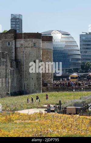London, Großbritannien. 22.. Juni 2022. Der Graben am Tower of London wurde in einen Lebensraum für Wildtiere im Herzen der Stadt verwandelt. Die Superbloom ist das erste Jahr einer permanenten Transformation des Grabens. Ende März wurden 20 Millionen Samen gesät. Der Graben wird von Juni bis September mit Farbe gefüllt. In London, Vereinigtes Königreich am 6/22/2022. (Foto von Richard Washbrooke/News Images/Sipa USA) Quelle: SIPA USA/Alamy Live News Stockfoto