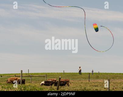 Ronks, Pennsylvania, 19. Juni 2022- Amish-Mann, der am Sonntagsommernachmittag einen farbenfrohen Regenbogendrachen fliegt und dabei ein kleines Kind beobachtet Stockfoto