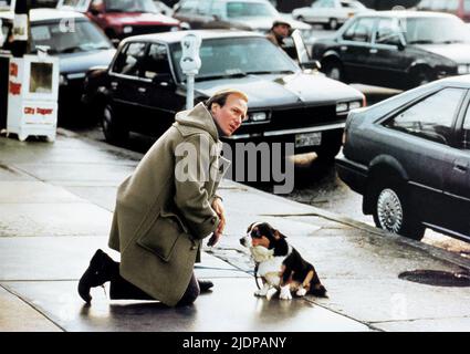 HURT, Hund, der zufällige TOURIST, 1988 Stockfoto