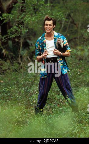 JIM CARREY, ACE VENTURA: Wenn die Natur ruft, 1995 Stockfoto