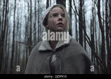 ANYA TAYLOR-JOY, DER VVITCH: EIN NEW-ENGLAND-MÄRCHEN, 2015, Stockfoto