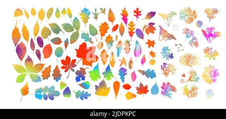 Reihe von bunten Herbstlaub. Vektor-illustration Stock Vektor