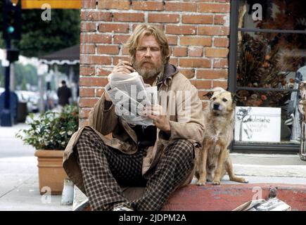 NOLTE, Hund, NACH UNTEN UND NACH AUSSEN IN DEN BEVERLY HILLS, 1986 Stockfoto