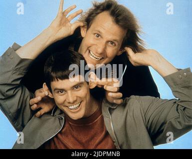 CARREY, Daniels, Dumm und Dümmer, 1994 Stockfoto