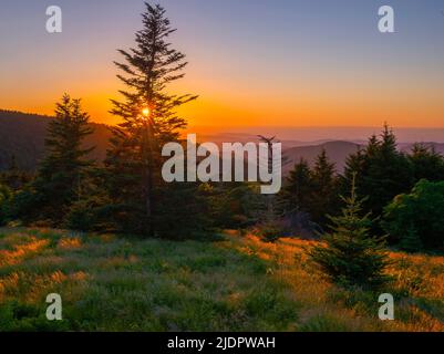 Goldene Zeit Stockfoto