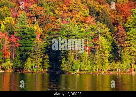 Der Lac Stukely im Parc national du Mont-Orford in Quebec, Kanada, erstreckt sich über etwas mehr als 4 km2. Stockfoto