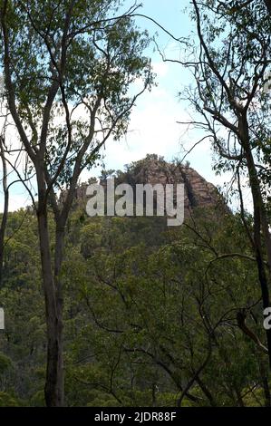 North Jawbone ist ein prominenter Gipfel in den Cathedral Ranges im Zentrum von Victoria, Australien. Ja, es gibt einen South Jawbone, aber er ist nicht so prominent. Stockfoto