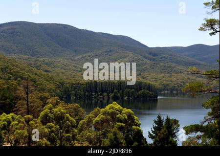 Der Maroondah-Staudamm liegt am Watts River in der Nähe von Healesville und ist der Wasserspeicher für den Bezirk. Es gibt einen falschen Glauben, dass sich der Damm auf der Yarra befindet. Stockfoto