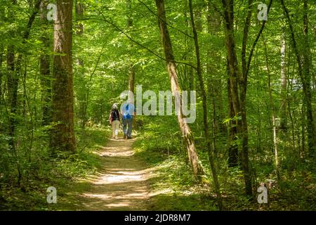 Das ältere Paar geht Hand in Hand auf einem Pfad im Natural Bridge Park in Winston County, Alabama. (USA) Stockfoto