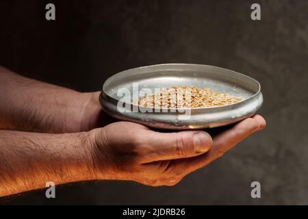 Nahaufnahme der männlichen Hände, die eine kleine Menge Weizenkerne halten. Mangel an Nahrung und Hunger-Konzept Stockfoto