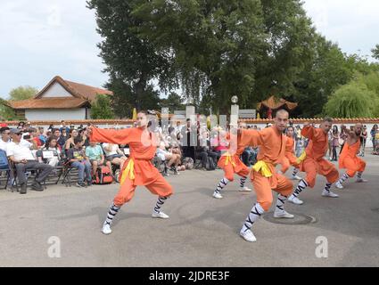 Wien, Österreich. 22.. Juni 2022. Kung Fu Fans spielen chinesisches Kung Fu, chinesische Kampfkunst, während der Veranstaltung "Austria meets China" in WIR SIND WIEN.FESTIVAL 2022 in Wien, Österreich, 22. Juni 2022. Die Veranstaltung „Austria meets China“ fand am Mittwoch im WIR SIND WIEN.FESTIVAL 2022 statt. Kredit: Guo Chen/Xinhua/Alamy Live Nachrichten Stockfoto