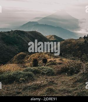 Männer Sind Der Hiiking Mount Prau, Wonosobo, Indonesien Stockfoto