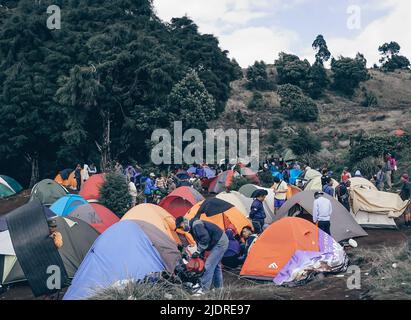 Zeltplatz am Berg Prau, Wonosobo Stockfoto