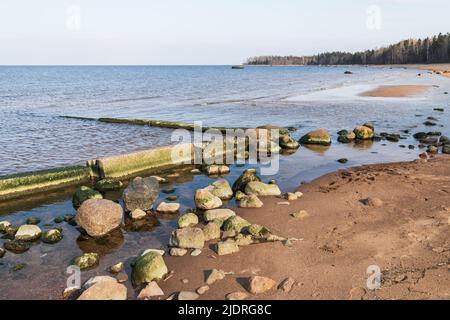 Ostseelandschaft. Der mit Algen bedeckte Pier aus gebrochenem Beton befindet sich in einem flachen Wasser an der Küste des Finnischen Meerbusens Stockfoto