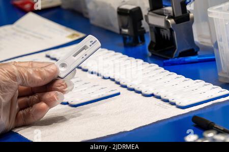 München, Deutschland. 23.. Juni 2022. Ein Mitarbeiter einer Apotheke in der Innenstadt führt einen noch nicht genutzten Corona-Schnelltest durch. Kredit: Peter Kneffel/dpa/Alamy Live Nachrichten Stockfoto