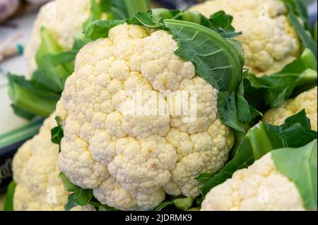 Großer weißer organischer Blumenkohl auf dem Markt aus nächster Nähe Stockfoto