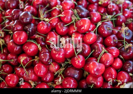 Neue Saison von reifen roten süßen Kirschen Sommerfrüchte, Kirsche zum Verkauf auf dem Bauernmarkt Stockfoto